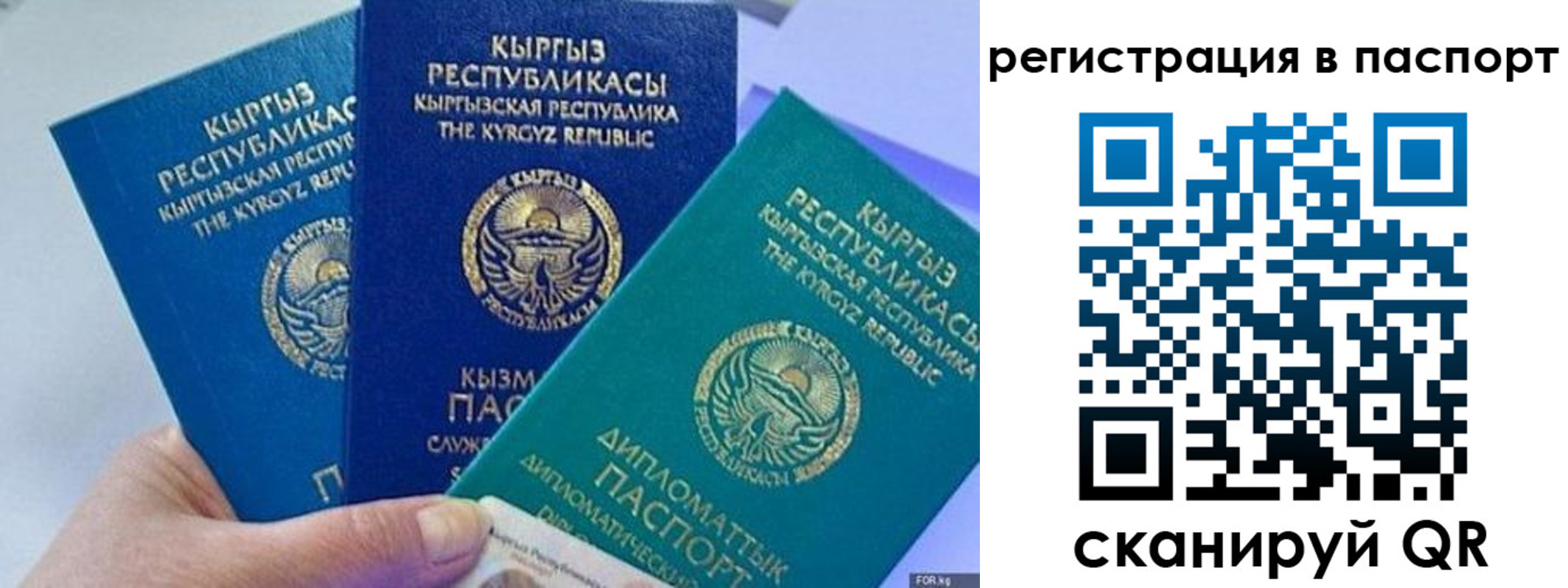 прописка 2025 в Феодосии
